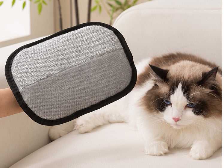 Still Battling Pet Hair at Home? Pet Hair Removal Gloves to the Rescue