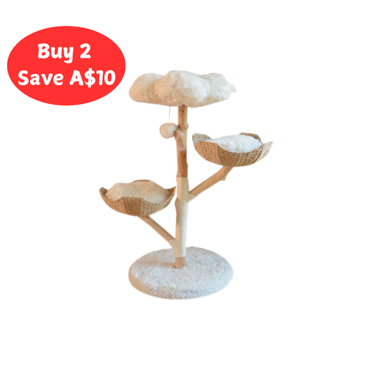 Natural Fruitwood Solid Wood Rattan Cat Bed and Cat Tree All-in-One Climbing Frame